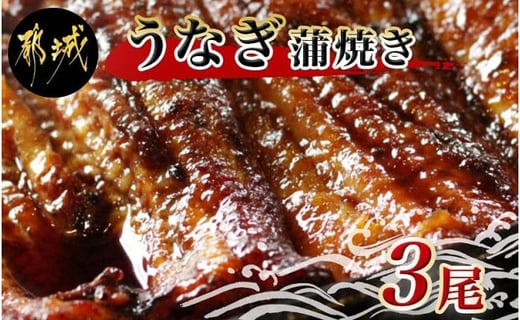 職人手焼きの本格うなぎ蒲焼き3尾 宮崎県都城市 ふるさと納税 ふるさとチョイス