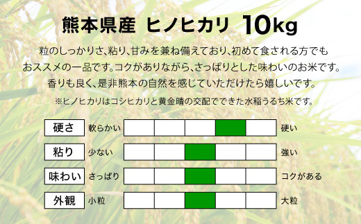 【新米予約令和2年産】熊本県産 ヒノヒカリ 白米 10kg 5kg×2袋