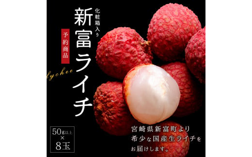 先行予約 希少 国産 新富ライチpremium50 50g以上 8玉 C52 宮崎県新富町 ふるさと納税 ふるさとチョイス