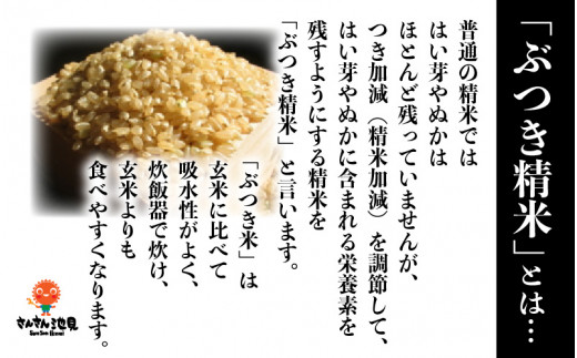 【令和5年産新米】さんさん池見二代目が笑顔で育てたコシヒカリ 10kg ～福井県産 生産者直送！～（玄米）[A-0232_04]