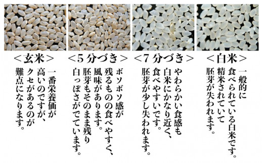 A-0230] 【数量限定12,000円→11,000円！】5日以内に直前に精米して