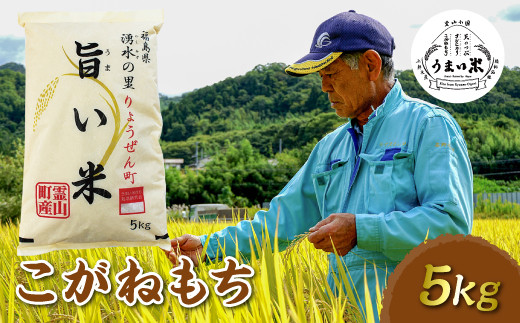 JGAP認証 新米 令和5年産米 霊山小国うまい米 こがねもち 5kg もち米 F20C-262 249878 - 福島県伊達市