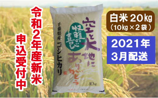 I01 706 長生産コシヒカリ 白米kg 令和2年産米 21年3月配送分 千葉県長生村 ふるさと納税 ふるさとチョイス