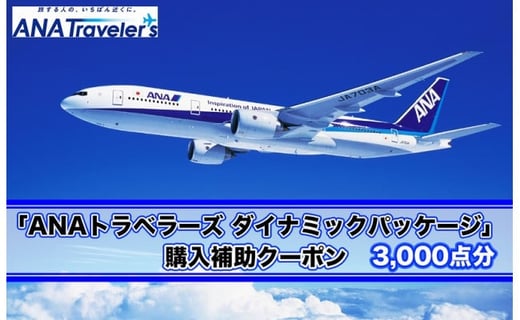 沖縄県恩納村 航空券 宿泊 Anaトラベラーズ ダイナミックパッケージ 購入補助クーポン 3 000点分 沖縄県恩納村 ふるさと納税 ふるさとチョイス