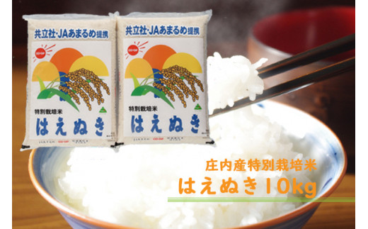 庄内町余目産　特別栽培米はえぬき10kg