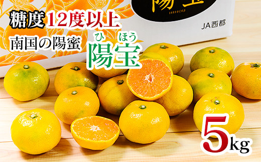 極早生みかん「南国の陽蜜・陽宝」５kg　宮崎県西都産【9月上旬より順次発送】＜1.5-169＞　
