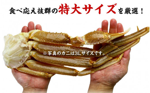 024 A010 生食ok 特大 極太サイズ限定 カット生ずわい蟹 高級品 黒箱 内容量1000g 総重量1300g 福井県敦賀市 ふるさと納税 ふるさとチョイス