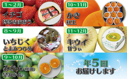 福岡県産フルーツ定期便 年5回コース 1 2月開始 C5251 福岡県福津市 ふるさと納税 ふるさとチョイス