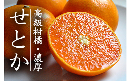 C48-31.愛媛・八幡浜産「高級柑橘・せとか：約３kg」（秀品） 400881