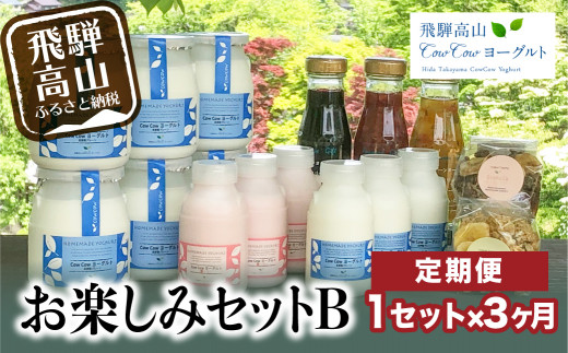 飛騨高山cowcowヨーグルト3ヶ月お楽しみセットb 定期便 乳製品 フルーツソース 飲むヨーグルト グラノーラ 焼き菓子 E518 岐阜県高山市 ふるさと納税 ふるさとチョイス