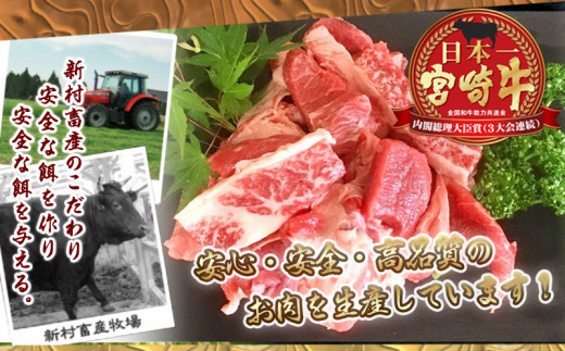 宮崎牛スジ肉2kg Mj 42 宮崎県都城市 ふるさと納税 ふるさとチョイス