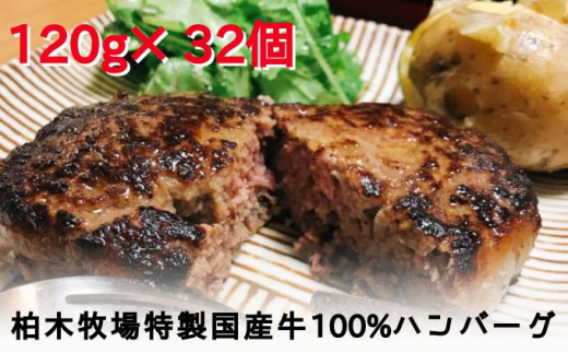 5862 11 ジュワッと肉汁まで美味い 柏木牧場特製 国産牛100 ハンバーグ 1g 32個 神奈川県伊勢原市 ふるさと納税 ふるさとチョイス