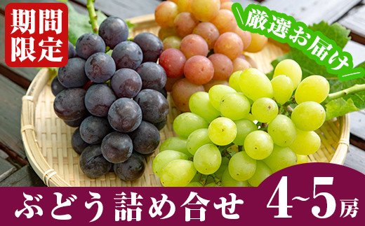 B 084 先行予約受付中 21年8月中の発送予定 霧島産ぶどう詰め合わせ 4 5房 冷涼な霧島の水で育った甘くてジューシーな種あり葡萄 と食べやすい種無し葡萄の両方を詰め合わせでお届け つるまる農園 鹿児島県霧島市 ふるさと納税 ふるさとチョイス