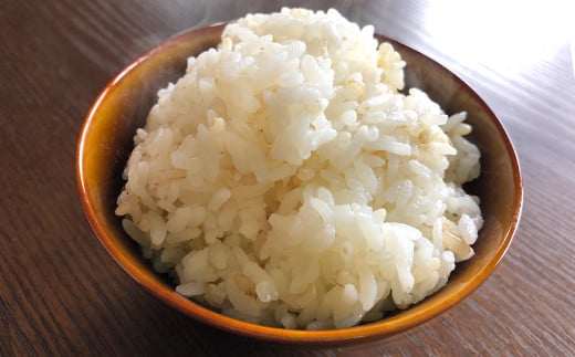 発芽玄米用 玄米 腹福米手作りセット 5kg タッパー ヒノヒカリ