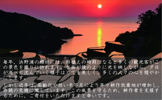 令和2年産 浜野浦の棚田米 10ｋｇ 100個限定 佐賀県玄海町 ふるさと納税 ふるさとチョイス