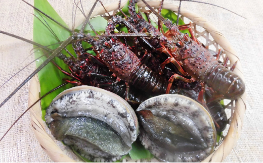 おすすめ 伊勢海老 アワビ ホタテ 他のふるさと納税を探す ふるさとチョイス