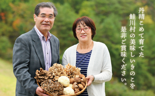 最上まいたけの白いきのこセット 山形県鮭川村 ふるさと納税 ふるさとチョイス