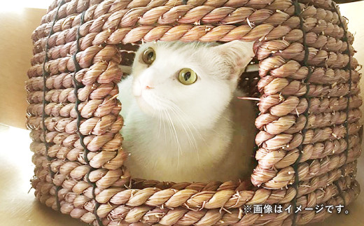 い草縄 猫のお家