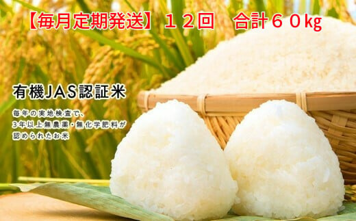 《 新米先行予約 》【毎月定期12回】令和6年産米 有機栽培米 コシヒカリ 5kg 252767 - 岩手県一関市