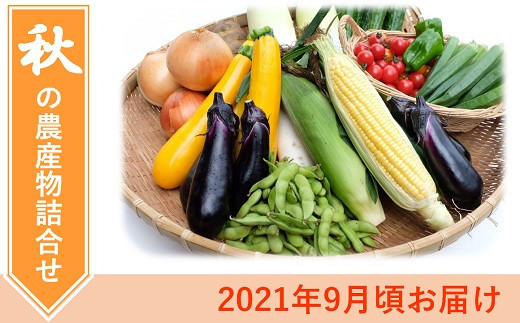 秋の農産物詰め合わせ 8 10種 21年9月より順次発送 福島県北塩原村 ふるさと納税 ふるさとチョイス