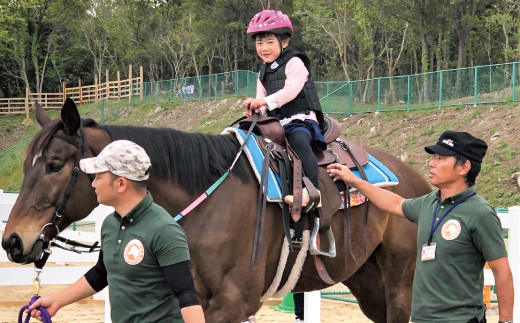 B 343 旬の野菜おまかせセット 引退競走馬の飼育寄付つき 島根県益田市 ふるさと納税 ふるさとチョイス