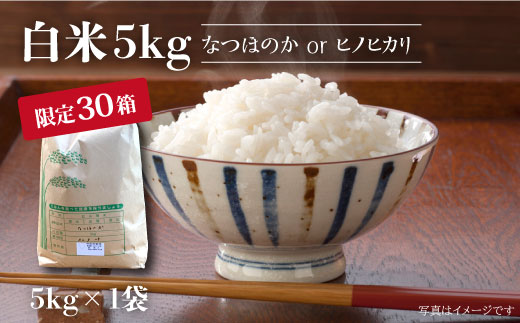 【先行予約☆数量限定】【令和7年産 新米】 白米 （ なつほのか or ヒノヒカリ ） 5kg  ＜夢農園 モリピー＞ [CEJ001] 白米 米 ひのひかり なつほのか  こめ ごはん ご飯