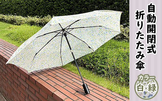 12-014自動開閉式折りたたみ傘（白×緑） 1266360 - 新潟県胎内市