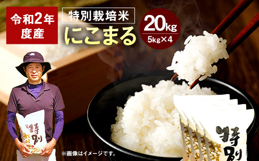 令和二年度産 相良村産 特別栽培米 にこまる kg 5kg 4 熊本県相良村 ふるさと納税 ふるさとチョイス