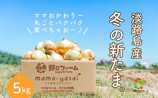 野口ファーム】幻の冬の新たまねぎ 5kg 約15個入 ◇配送12月～ 522958