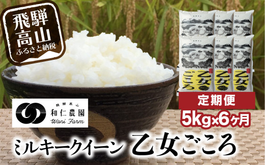 定期便 令和4年産「乙女ごころ」5kg×6ヶ月 ミルキークイーン 米 白米 飛騨　お米　和仁農園　TR3195