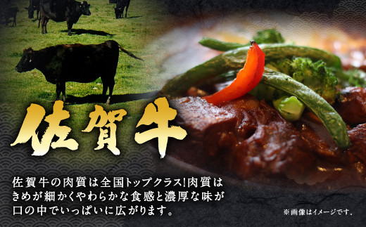 8-04 佐賀牛 ネック スネ肉 500g 煮込み用 牛肉