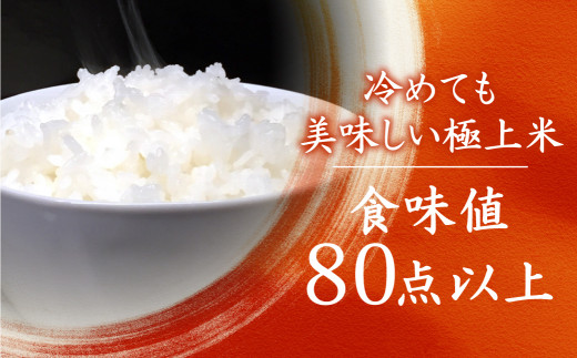 定期便 令和4年産「乙女ごころ」5kg×6ヶ月 ミルキークイーン 米 白米 飛騨　お米　和仁農園　TR3195