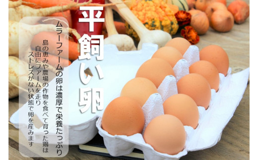 島の本氣の卵かけごはん 平飼い卵と島の伝統こじょうゆ味噌の卵かけご飯セット 平飼い卵個 海士の本氣米5kg こじょうゆ味噌110g 島根県海士町 ふるさと納税 ふるさとチョイス