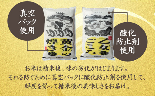 定期便 令和4年産「乙女ごころ」5kg×6ヶ月 ミルキークイーン 米 白米 飛騨　お米　和仁農園　TR3195