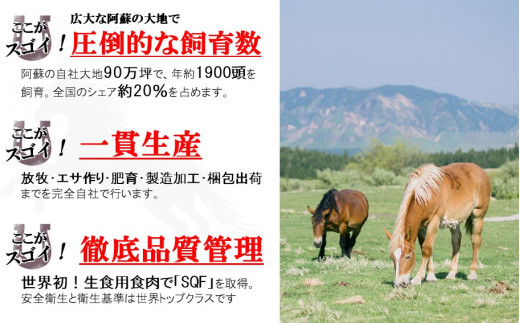 熊本県和水町のふるさと納税 馬肉応援！くまもと馬肉バラエティ６種 540g