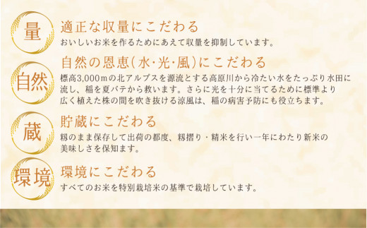 定期便 令和4年産「乙女ごころ」5kg×6ヶ月 ミルキークイーン 米 白米 飛騨　お米　和仁農園　TR3195