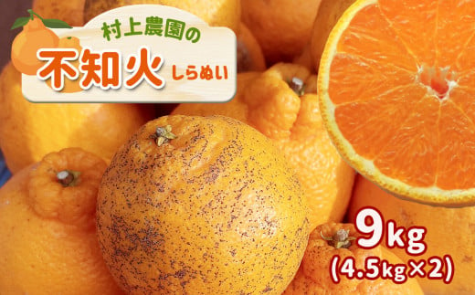 『 村上農園 』 不知火 4.5kg × 2 | フルーツ 果物 くだもの 柑橘 柑橘類 みかん ミカン 不知火 しらぬい 熊本県 玉名市