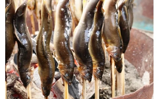 四万十川上流の天然鮎　新もの冷凍　火振り漁鮎（4～12尾） 789748 - 高知県中土佐町