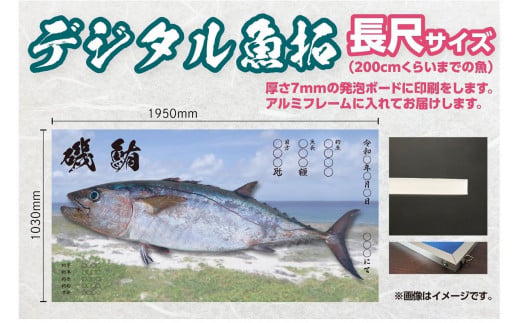 CM-017 【長尺・デジタル魚拓】メモリアルフィッシュを釣れたてのままに。 320277 - 福岡県行橋市