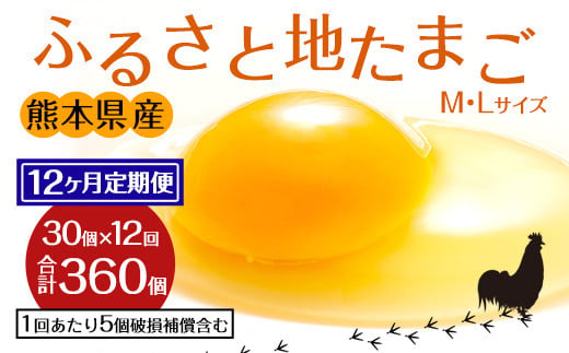 【定期便12回】ふるさと地たまご 360個（30個×12回）卵 赤たまご