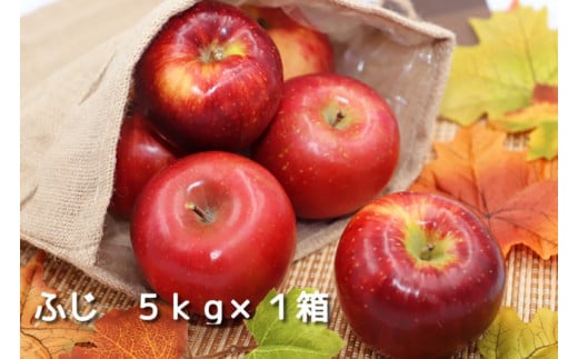 【数量限定】ふじ　５ｋｇ×１箱 498374 - 群馬県高山村