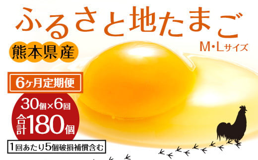 【定期便6回】ふるさと地たまご 180個（30個×6回）卵 赤たまご