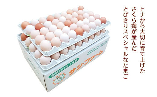 朝採り さくらたまご 90個（Mサイズ）卵 10個破損補償含む