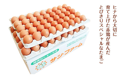 朝採り あかねたまご 90個（Mサイズ）卵 10個破損補償含む