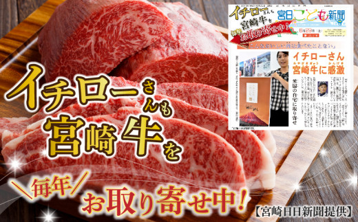 宮崎牛モモ肉ブロック500g Mj 2404 宮崎県都城市 ふるさと納税 ふるさとチョイス