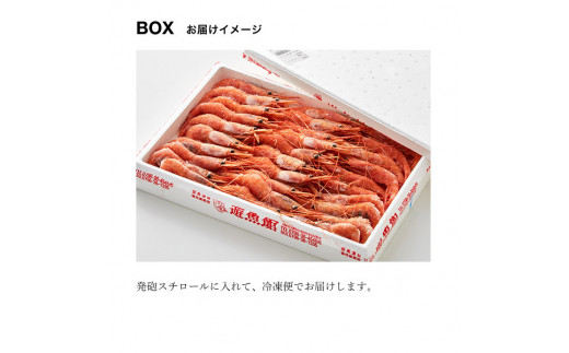 船内冷凍 甘えび 500g 兵庫県豊岡市 ふるさと納税 ふるさとチョイス