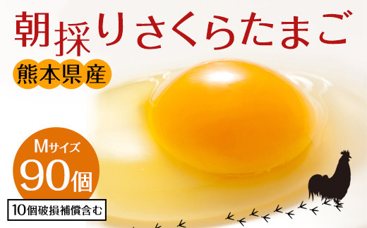 朝採り さくらたまご 90個（Mサイズ）卵 10個破損補償含む 321681 - 熊本県宇城市