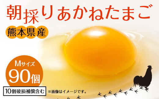 朝採り あかねたまご 90個（Mサイズ）卵 10個破損補償含む 321682 - 熊本県宇城市