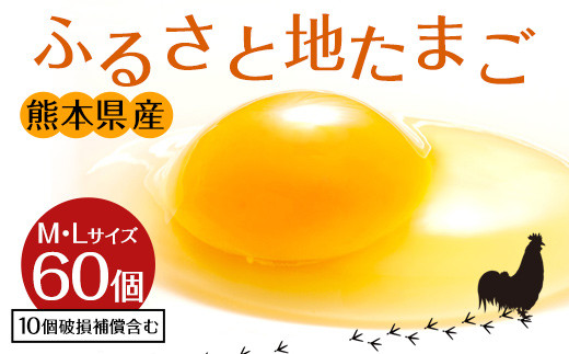 ふるさと地たまご 60個（M・Lサイズ）卵 赤たまご 10個破損補償含む 321678 - 熊本県宇城市