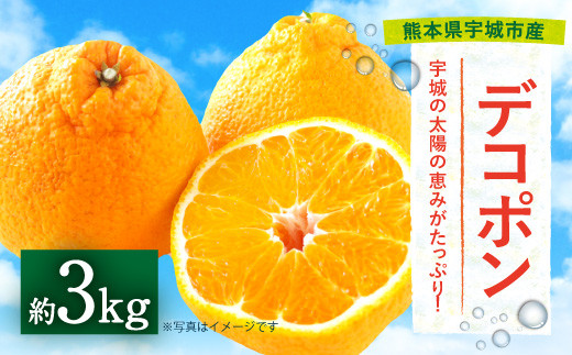 熊本県宇城市産 デコポン 約3kg でこぽん 不知火 果物 柑橘
